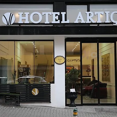 Artic Hotel Bursa