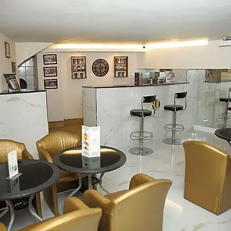 Hotel Artic